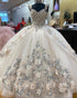 Champagne Quinceanera Dress Floral Embroidery 3D Lace Tulle Skirts Ball Gown Sweet 16 vestidos de quinceañera AW2207221